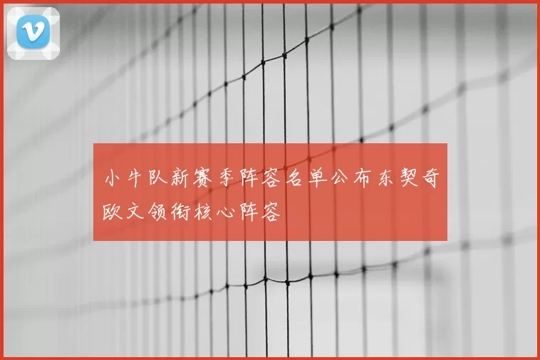 小牛队新赛季阵容名单公布东契奇欧文领衔核心阵容