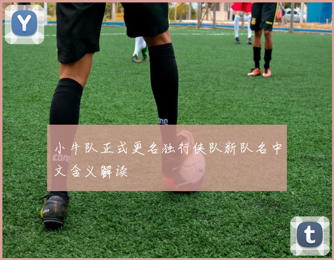 小牛队正式更名独行侠队新队名中文含义解读
